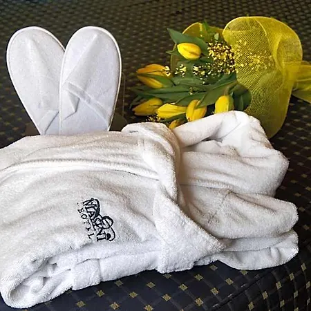 Masini Hotel Forli