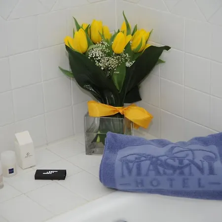 Отель Masini 4*