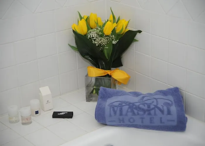 Hotel Masini 4*